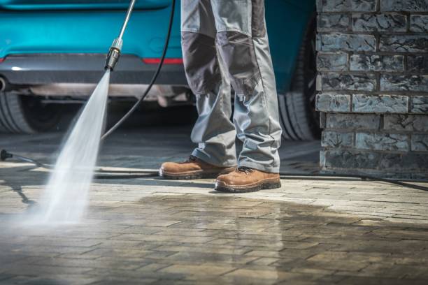 Best Dumpster Area Cleaning  in Bloomfield, NY